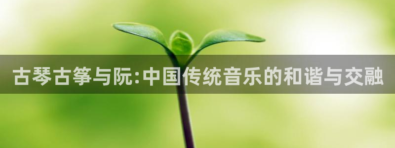 凯发k8官网do选来就送38：古琴古筝与阮:中国传统音乐的和
