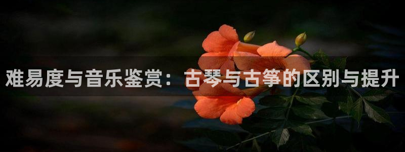 凯发k8国际娱乐版：难易度与音乐鉴赏：古琴与古筝的区别与提升