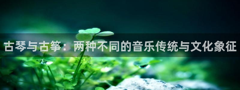 凯发平台网址：古琴与古筝：两种不同的音乐传统与文化象征