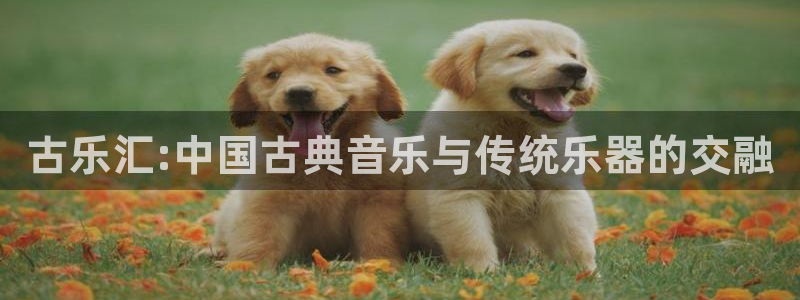 凯发k8国际官网可靠吗：古乐汇:中国古典音乐与传统乐器的交融