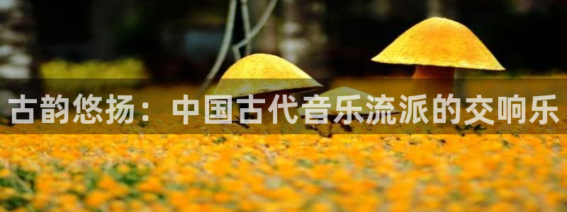 凯发娱乐官方网站