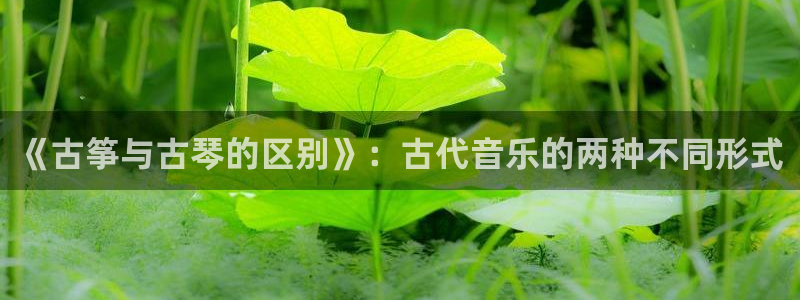凯发平台风采