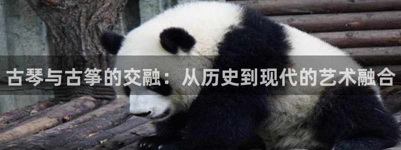 凯发旗舰客户端