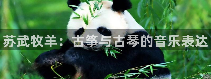 凯发app是干嘛的