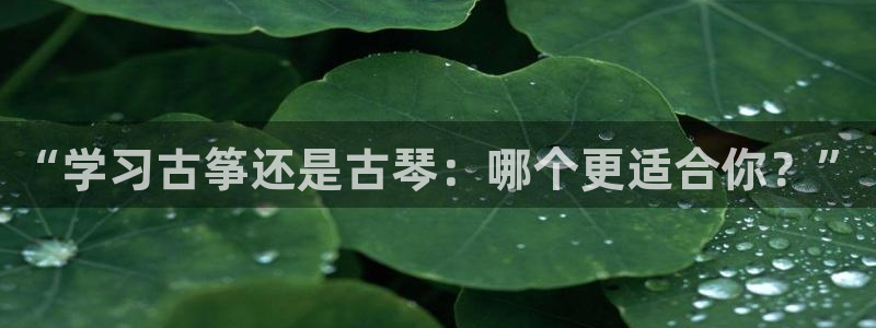 凯发手机官网客户端