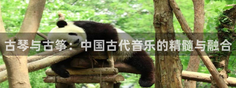 凯发国际娱乐官网k8