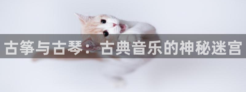 凯发k8国际不能提款了吗