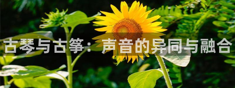 凯发k8娱乐欢迎您