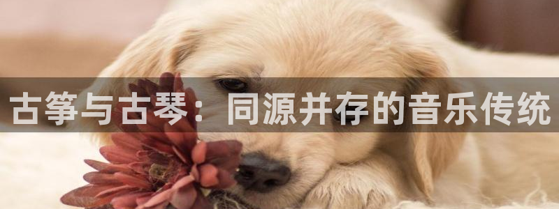 凯发k8娱乐官网旗舰厅