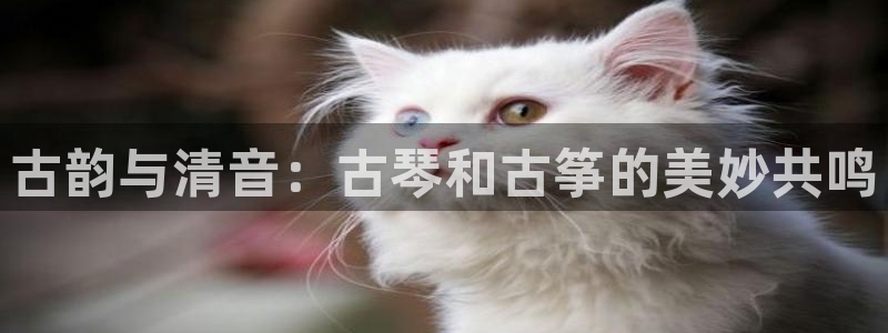 凯发最新官方app下载