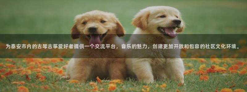 凯发k8国际 不能提款了