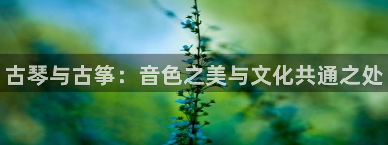 l凯发国际官网：古琴与古筝：音色之美与文化共通之处