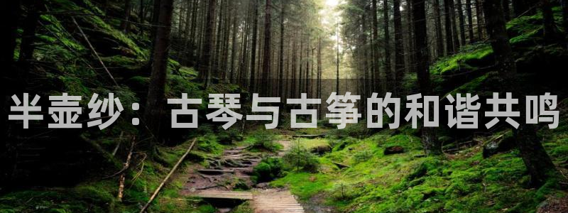 凯发手机官网客户端：半壶纱：古琴与古筝的和谐共鸣