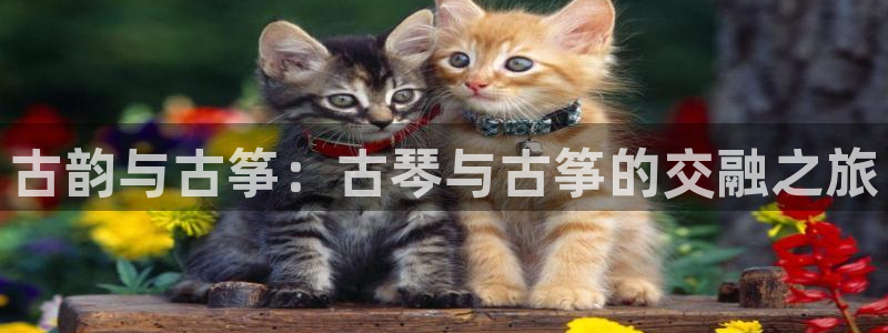 凯发线上客户端免费下载：古韵与古筝：古琴与古筝的交融之旅