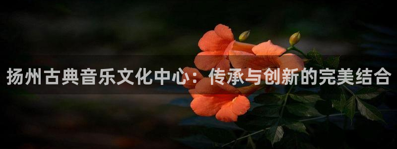 凯发注册手机版官网：扬州古典音乐文化中心：传承与创新的完美结