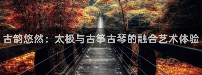 凯发k8娱乐官网旗舰厅：古韵悠然：太极与古筝古琴的融合艺术体
