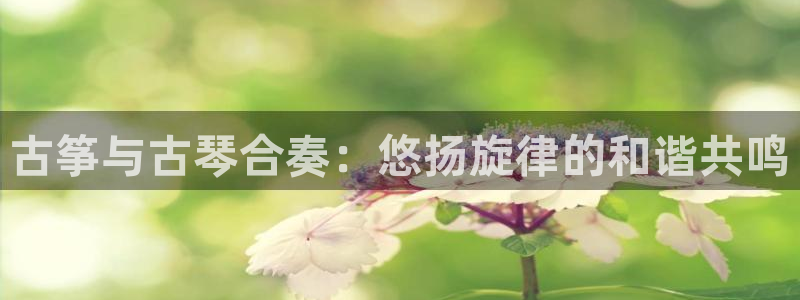 凯发官网|认准kpm