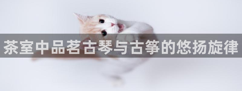 凯发k8国际真人娱乐手机app