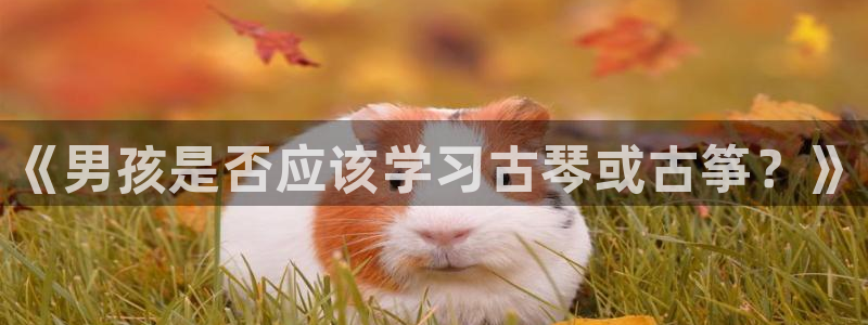 凯发k8手机是正品吗知乎