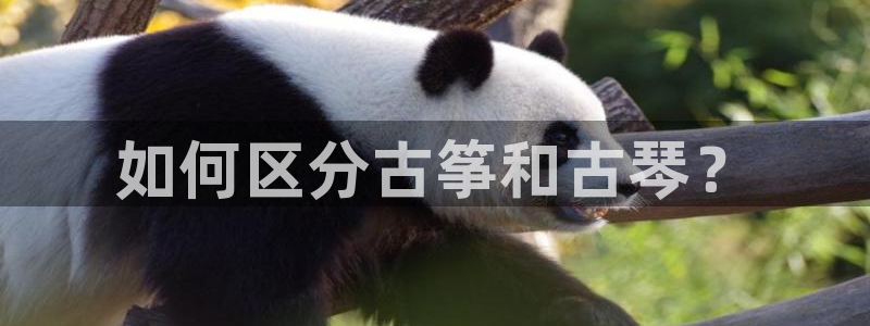 k8凯发官方找就送38