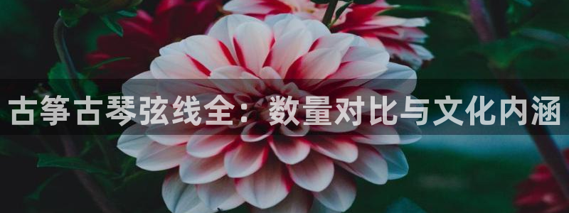 凯发k8娱乐品牌导航