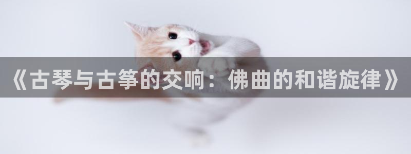 凯发网站是多少