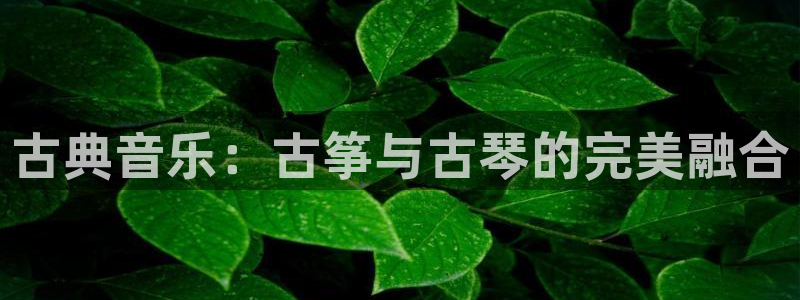 凯发注册app在线:古典音乐:古筝与古琴的完美融合