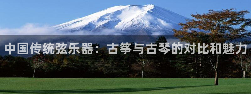 凯发登录网址:中国传统弦乐器:古筝与古琴的对比和魅力